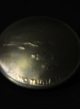 手工制作养牛 外国真硬币 财布扣 三条大小鱼 铜币约21mm D27一11