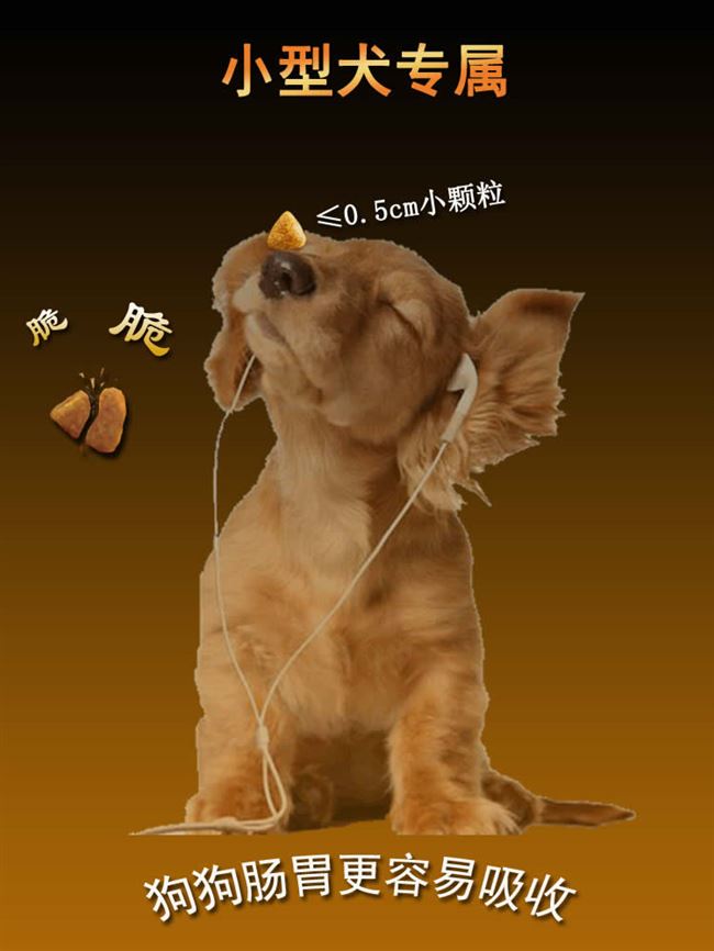 10幼犬专用泰迪狗粮成犬比熊柯基小型犬通用型美毛去泪痕3粮5斤装优惠券
