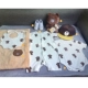 Mùa hè mới sinh bộ quà tặng cotton đầu tiên sinh em bé trăng tròn cung cấp quần áo trẻ em thủy triều - Bộ quà tặng em bé các set đồ sơ sinh đẹp  Bộ quà tặng em bé