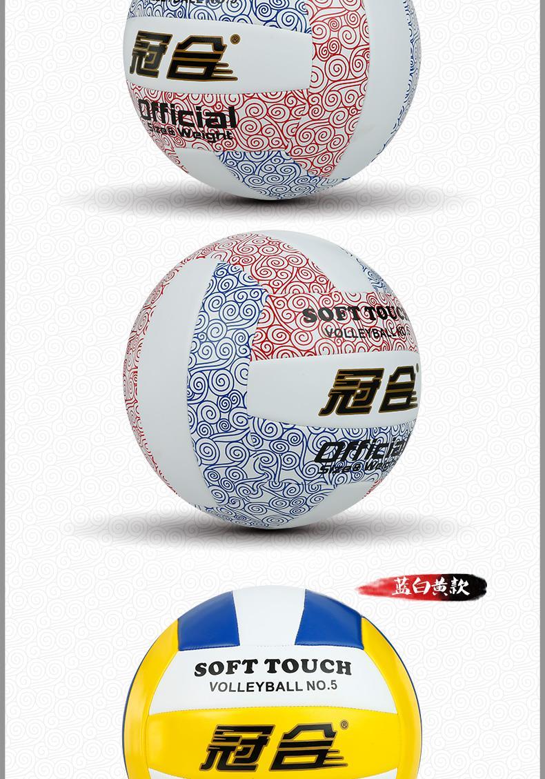 Ballon de volley-ball - Ref 2015978 Image 11