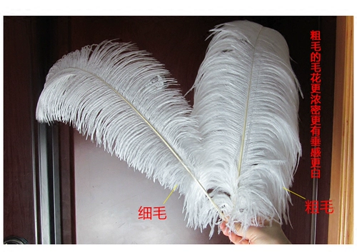 Южная Африка импортирована 15-80 см страуса с большими перьями Diy Feather Road Table Flow