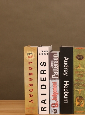 电视柜复古轻奢风拍照道具仿真书