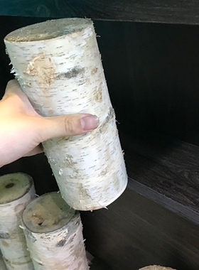 白桦树干原木干白桦木段实木装饰树墩橱窗造景木桩栅栏围栏木树桩