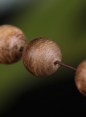 龙虫并雕斋马来西亚沉