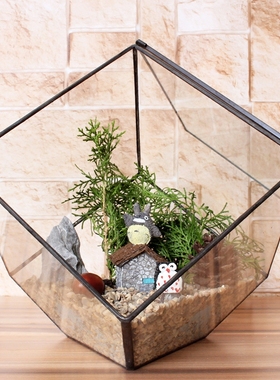 多肉植物永生花房瓶器礼盒小摆件