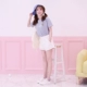 Rex Rabbit Vớ Nữ Vớ màu nông - Vớ bông