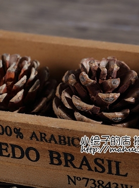 天然松果拍摄道具摆件1个价