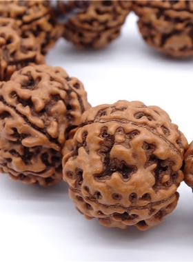 尼泊尔佛珠文玩天然大金刚菩提子