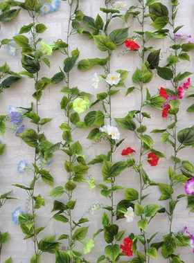 喇叭花假花牵牛花管道藤蔓藤条