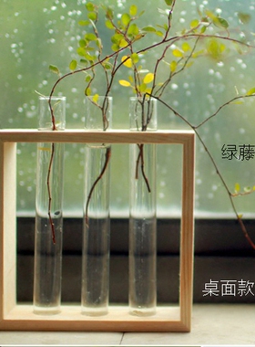 实木本色试管挂墙水培植物花瓶