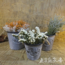 (hemp rope dwarf thickened iron sheet barrel) vase floral floral multi-meat plant dried flower barrel retro to be old