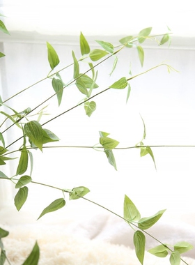 绿色植物吊兰室内四季常青假花