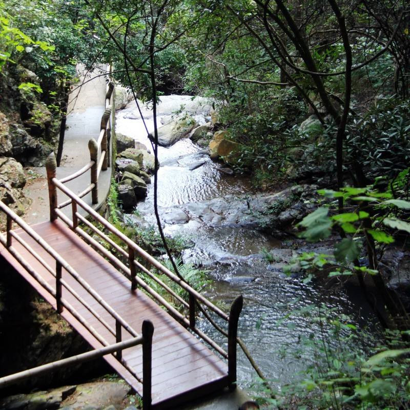 [大余丫山风景名胜区-大门票]含A哆乡村+卧龙谷+观光车+玻璃桥-图0