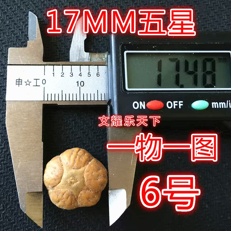 罕见至尊尼泊尔红黄皮高密金钱眼圆润木瓜麒麟眼菩提子手串佛珠