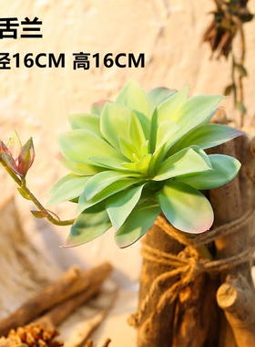 diy多肉植物组合室内背景墙假花