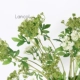 Lancol xanh lục Hoa nhân tạo hoa nhỏ ren hoa trắng xanh với cỏ trang trí bàn phòng khách - Trang trí nội thất trang trí phòng khách nhà cấp 4 Trang trí nội thất