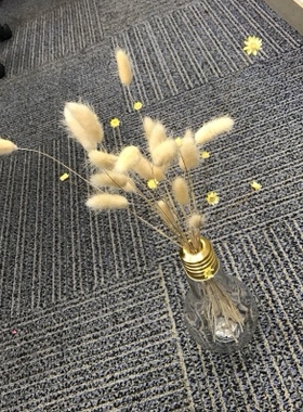 天然永生真花客厅拍照道具兔尾草