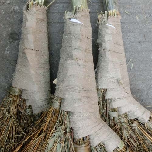 大竹扫把工地学校环卫扫马路户外庭院加大宽竹扫帚笤帚竹扫把条帚 - 图2