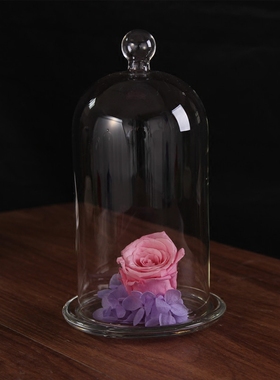 手办人偶积木防尘玻璃罩