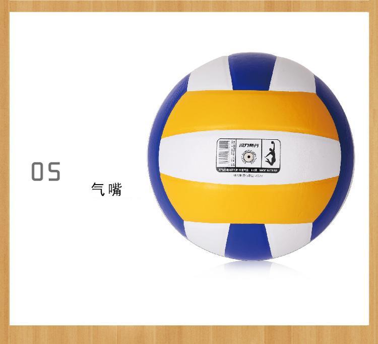 Ballon de volley-ball - Ref 2016769 Image 8