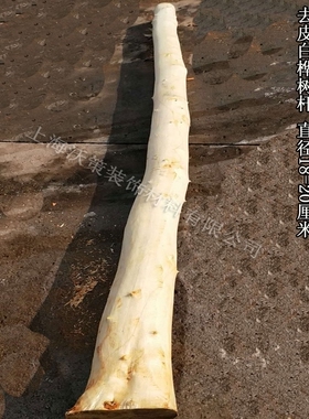 定制白桦树去皮原木树干软装
