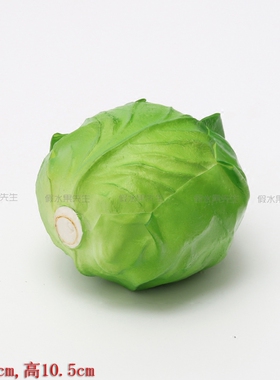 假水果摄影装饰摆件卷心菜模型