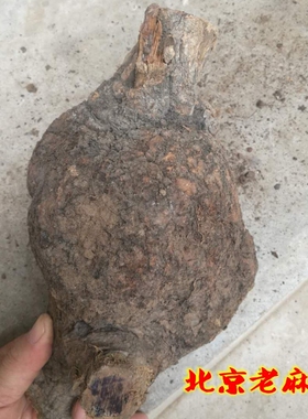 麻梨疙瘩原料阴干陈年老料鼠李木火琉璃北京手串烟斗弹弓葫芦钱袋