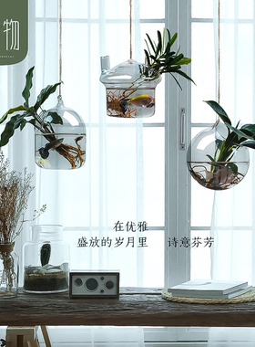 悬挂式植物玻璃瓶花瓶水养培器皿挂墙花盆客厅盆景盆创意透明壁挂