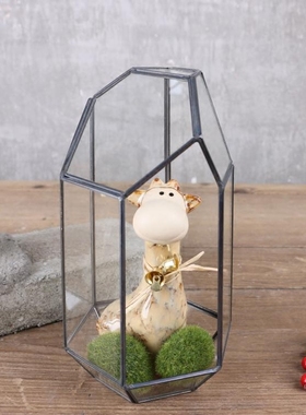 几何创意礼物摆件玻璃花房