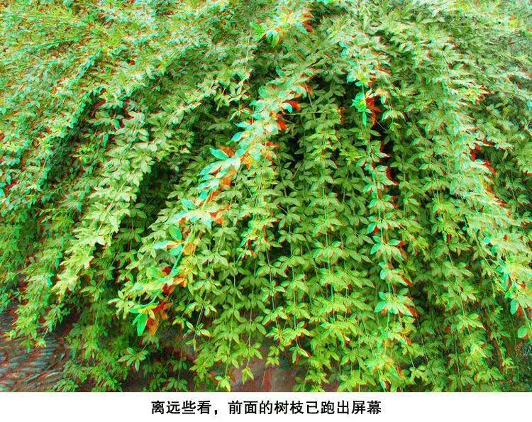Lunettes 3D - Ref 1244081 Image 31