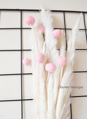 缤纷色彩黄金球干花北欧小棕瓶透明贴纸花瓶装饰插花摆拍背景