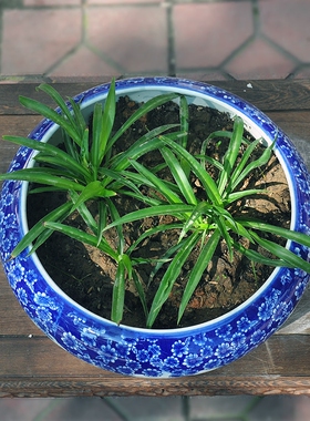 景德镇花盆陶瓷乌龟盆竹报平安