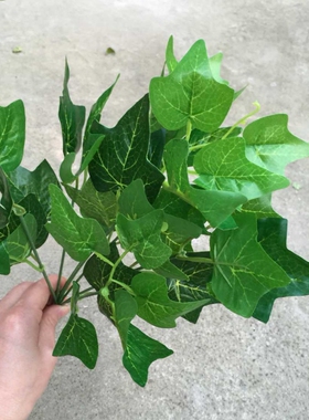7叉地瓜叶 仿真绿萝叶万年青仿真绿植植物墙配材假花装饰花常青藤