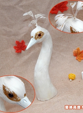 仿真羽毛餐桌动物蓝白孔雀头装饰