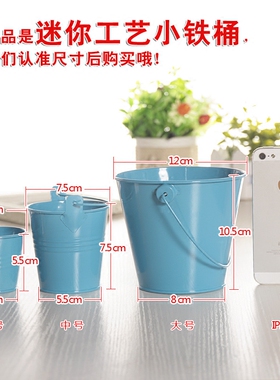 铁桶植物迷你沙滩小花盆桌面收纳