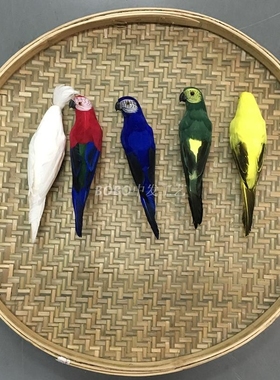 仿真羽毛金刚鹦鹉橱窗园林小鸟