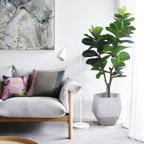 Tropical Ficus Traveler Floor-standing Ornament Simulated Plant