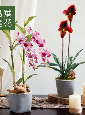 客厅桌面晶华简约蝴蝶兰花艺