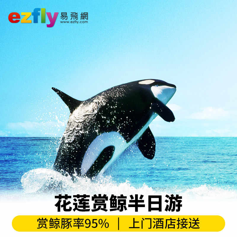 花莲一日游 新人首单立减十元 21年11月 淘宝海外
