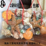 Бесплатная доставка Hainan High -End Natural Conch, Sea Star Shell Set 600G Около 25 подарков по туризму.