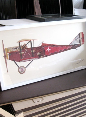 集川实木相框标本挂墙画框立体
