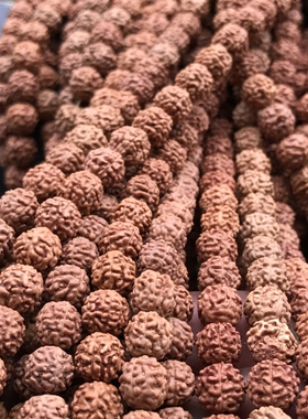 小金刚菩提子108颗红皮佛珠原籽
