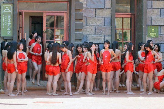 Bellyband zodiac year red adult classic