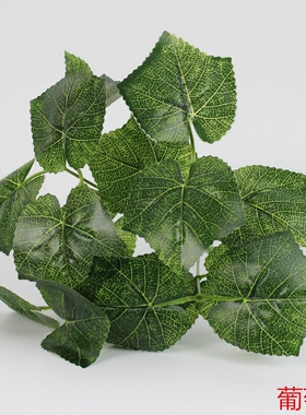 田园植物墙阳台盆栽绿萝装饰花艺