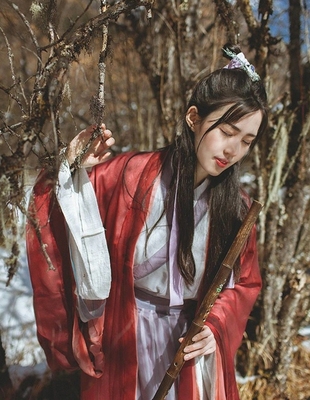 古装女汉服大袖衫红颜魏晋风演出服改良古风日常汉装春夏齐腰襦裙