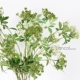 Lancol xanh lục Hoa nhân tạo hoa nhỏ ren hoa trắng xanh với cỏ trang trí bàn phòng khách - Trang trí nội thất trang trí phòng khách nhà cấp 4 Trang trí nội thất
