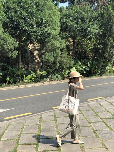 大的一只帆布包单肩包学生书包百搭大包包环保帆布袋 春夏季女包 - 图2