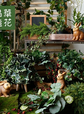 晶华仿真绿植藤条葡萄叶树叶装饰