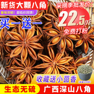 广西正宗八角大料250克*2特级干货桂皮香叶花椒茴香料调料大全