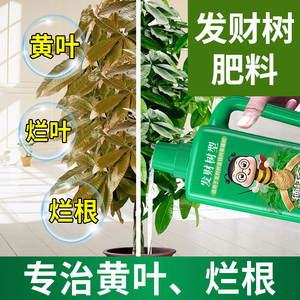 发财树营养液专用肥花肥料室内盆栽植物金钱树土水培通用浓缩家用